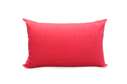 Ann Taylor My Cozy Pillow