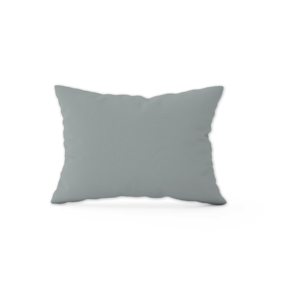 Ann Taylor The Basic 2pcs Pillow Case - Cotton Non-Iron 780TC
